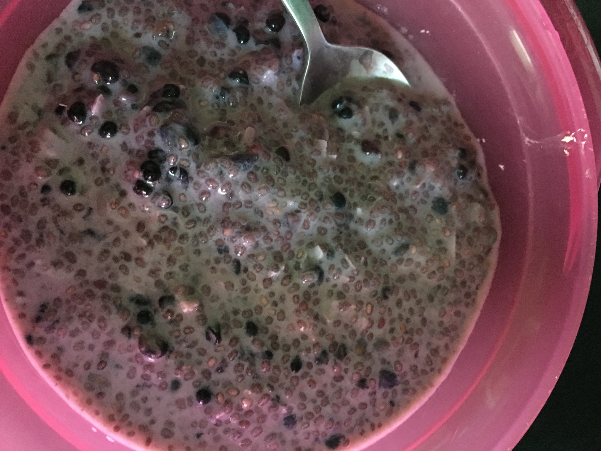 Chia seed blackberry pudding, whole30 approved